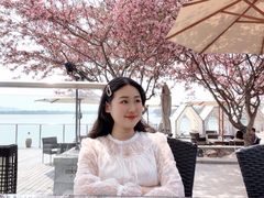 -望海·帆船主题咖啡厅•品茗下午茶(石湖景区店)