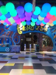 点击看大图 -宝燕乐园(闵行旗舰店)