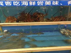 -沪华海鲜大酒楼(南汇店)