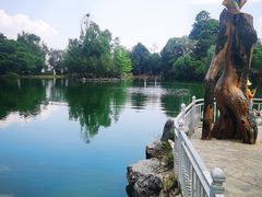 -蝴蝶泉公园