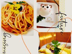 -猫小院猫主题咖啡厅(北锣店)