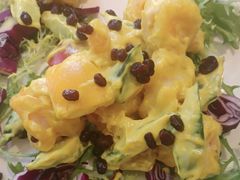 -桃子餐厅·天津菜(红星路直营店)