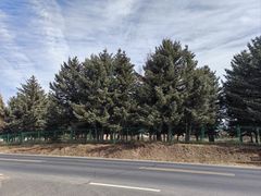 -塞罕坝国家级自然保护区