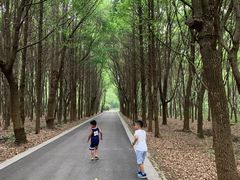 -同里国家湿地公园
