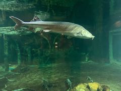 -华夏文旅西安度假区