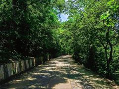 -紫金山山顶公园