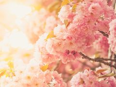 -王虎成猪排骨非物质文化遗产传承馆