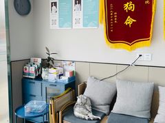 -嘉美宠物医院