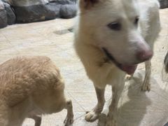 -福州罗源湾海洋世界旅游区