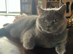 -KingBull私教健身&格斗订制(龙井商业中心店)