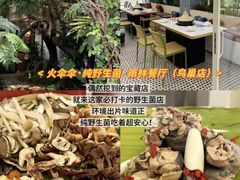 -西双版纳原始森林公园