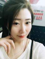-大象造型