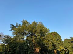 -广西大学(大学东路校区)
