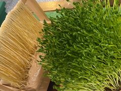 -粤小煲鲜汤猪肚鸡(丹尼斯二天地店)