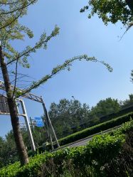 -HEYAN荷妍专业脱毛连锁机构