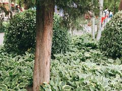 -宣武艺园