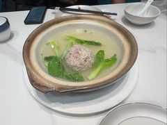 -丁老爷子苏香圆