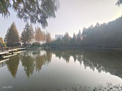 -黄兴公园
