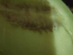 -鲜丰水果(杭州庆春银泰店)