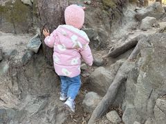 -大觉寺-停车场