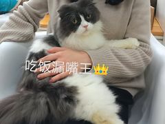 -李小姐の猫咖啡馆(五角场店)