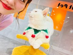 -BABIT巴比特宠物(MOMOPARK店)