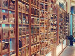 -猫的天空之城概念书店(北戴河蔚蓝海岸店)