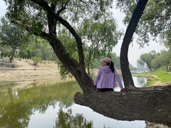 -东坝千亩湖公园