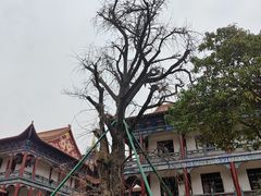-章华寺