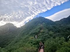 -大岭沟猕猴桃谷风景区