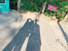 -观澜山水田园