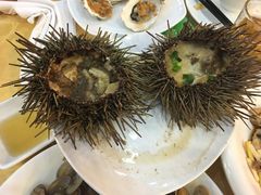 -海岛渔村大酒店(云霄路店)