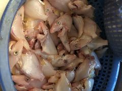 -老三鱼仔店