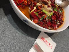 -新吉士·上海菜(浦东LCM置汇旭辉店)