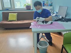 -北京观赏动物医院·24小时大型综合·猫专科·异宠专科