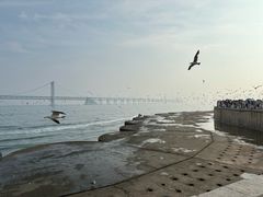 -星海广场