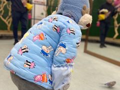 -荆州中山公园动物园