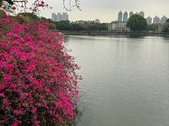-东山湖公园