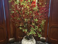 -明州小宴(文化广场店)