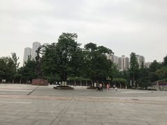 -龙头寺公园