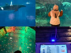 -华夏文旅海洋公园