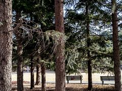 -国家植物园南园