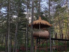 -汤旺河林海奇石景区