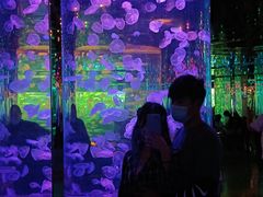 -石家庄海洋公园