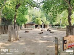 -郑州市动物园