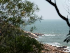 -广东惠东海龟国家级自然保护区