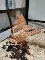 -Zoolung Zoolung动物主题公园(海信广场店)