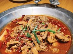 -成老灶火锅鸡(平山店)