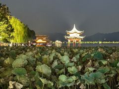-西湖游船