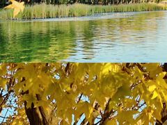 -长春市南湖公园